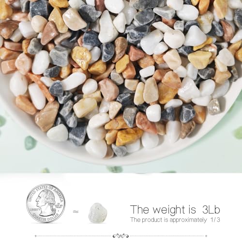 Pebbles for Indoor Plants,River Rocks for Succulent Plants,Aquarium Gravel | 3Lb Decorative Stones Bonsai Garden Pebbles,Succulent Rocks,Small Aquarium Rocks for Landscaping ,Plants,Vase Fillers - color: Grey & White