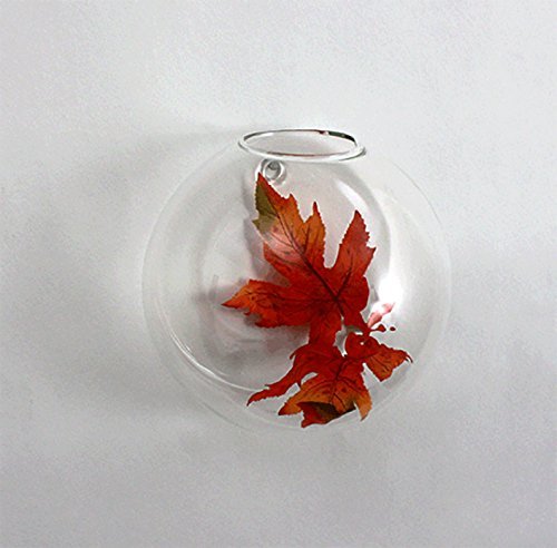 WGV Wall Hanging Planter Terrarium, Diameter 6", Clear Mounted DIY Succulents Air Glass Floral Container Vase, Tea Light Votive Candle Holder for Decoration 1 Piece - size: 6"D