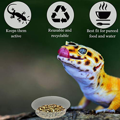 SunGrow Reusable Gecko Food & Water Cups, 50 Pcs, 0.5 Oz Recyclable Plastic Bowls, Fits Small Stands & Feeders, Durable & Easy to Clean, Ideal for Reptiles - in Resealable Bag