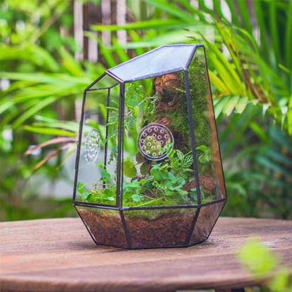 NCYP Closed Geometric Glass Enclosure with Front Opening Door & 2 Vent Holes for Insects, Snail, Moss, Fern - 7.9"x6.9"x9.8" Black Irregular Terrarium - Home Garden Tabletop Decor (No Plants)