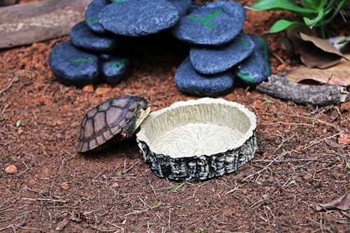 MODERNJOE'S Food/Water Dish for Reptiles, Amphibians and Other Little Critters Water/Food Bowl, Made from Premium Resin, Reptile Feeding Bowls for Lizard,Hermit Crab,Gecko,Tortoise - color: Brown