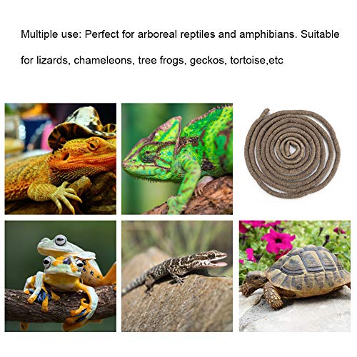 9.84ft Flexible Rattan Reptile Climbing Vine, Bendable Jungle Vine, Chameleon Climbing Branch, Reptile Habitat, Lizard Habitat Accessories, Terrarium Plant Decor (Small Size) - size: Small Size