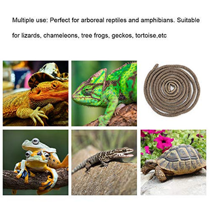 9.84ft Flexible Rattan Reptile Climbing Vine, Bendable Jungle Vine, Chameleon Climbing Branch, Reptile Habitat, Lizard Habitat Accessories, Terrarium Plant Decor (Small Size) - size: Small Size