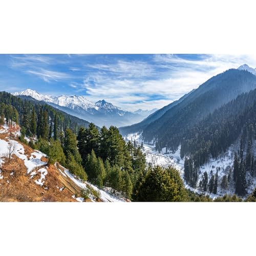 Winter Mountain Valley Aquarium Background Snow Covered Mountains Spruces Landscape Fish Tank Background Winter Snowy Pine Trees Terrarium Backgrounds Wintry Frosty Reptile Tank Backgrounds 24x12in - color: Green_Blue, size: 24(W)x12(H)inches/ 60(W)*30cm(