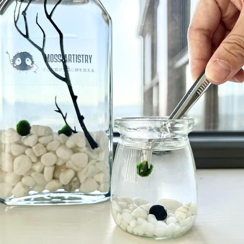 Moss Pet Glass Terrarium Jar Kit with Cork Lid, Mini Desktop Moss Plant Aquarium Decor, Home Ornament Gift