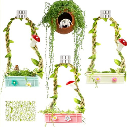 Jumping Spider Hidden Habitat Set (Decorated) - Jumping Spider Cage Accessories - Fun Perimeter Accessories for Climbing and Hiding