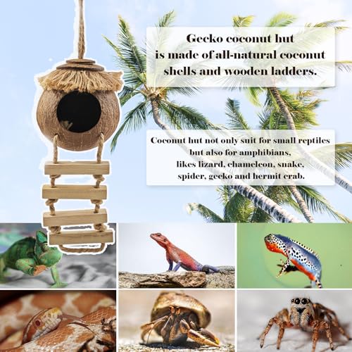 Gecko Tank Accessories,Grested Gecko Coconut Hideout Hut with Ladder Reptile Hanging Plants Climbing Bearded Dragon Hammock Flexible Jungle Vine Leaves Terrarium Decor - style: 【Style C】
