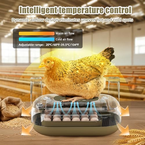 XOTTI Incubator for Hatching Eggs, 24 Egg Incubator with Precise Temperature Control, Auto Egg Turner, 360° Clear View, LED Candler, Alarm for Chicken Duck Quail Goose for Home School Farm Lab