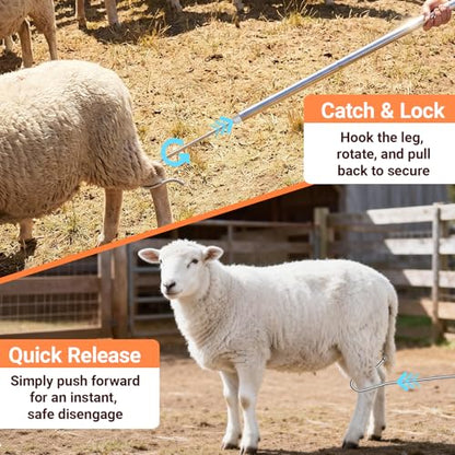 Goat Catcher Hook, Heavy Duty Shepherd Crook, 32-79" Adjustable | 304 Stainless Steel Sheep Leg Hook with Smooth Ball Tip, Livestock Grabber Tool for Ranch Farm, Storage Bag Included