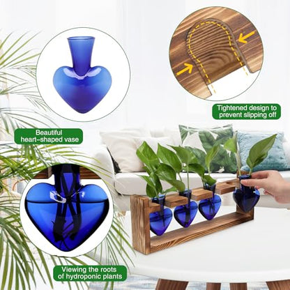 Plant Propagation Stations Heart Plant Terrarium Kit | Gift for Women Plant Lover Glass Vases - color: Blue
