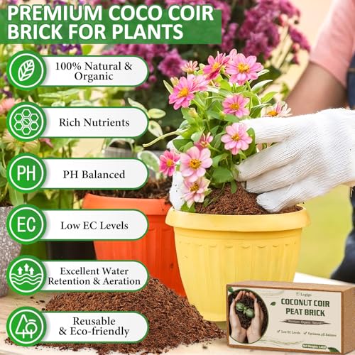 12 Pack Coco Coir Bricks for Plants- 100% Organic Coconut Coir Soil | Compressed Coconut Fiber Substrate, Coco Peat Garden Soil for Seed Starter, Potting Mix and Indoor & Outdoor Plants - size: 12 Pack