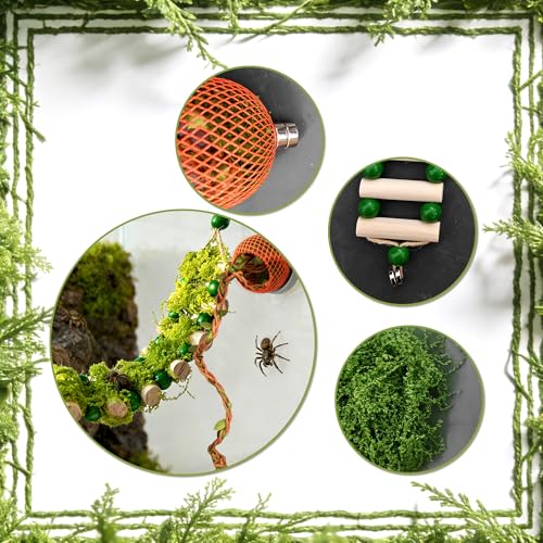 Jumping Spider Rope Bridge Jumping Spider Hides Enclosure Accessories | A Solid Wood Climbing Suspension Bridge, a Spider Jump Platform, Used As a Decorative Accessory for Small Reptile Enclosures