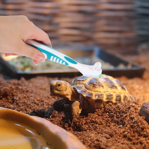UPKOCH 2pcs Aquatic Turtle Shell Cleaning Brush Portable Mud and Dirt Remover for Tortoise Tanks and Reptile Habitats Household Use