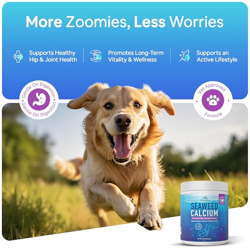 Seaweed Calcium Powder for Dogs and Cats - Vet Recommended Calcium Supplement for Dogs with 72 Trace Minerals, Wild Icelandic Marine Algae for Strong Bones, Teeth, Joints and Muscles, 14oz