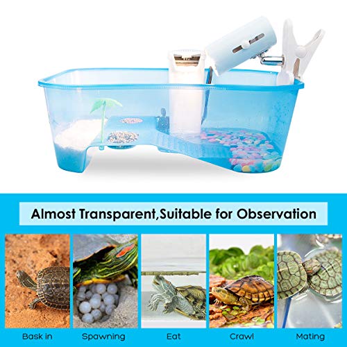 Small Turtle Tank with Multi-Function Areas | Easy Assembly, Ideal for Small Turtles & Reptiles, Includes Plastic Tree, Includes Fishing Net - color: Blue