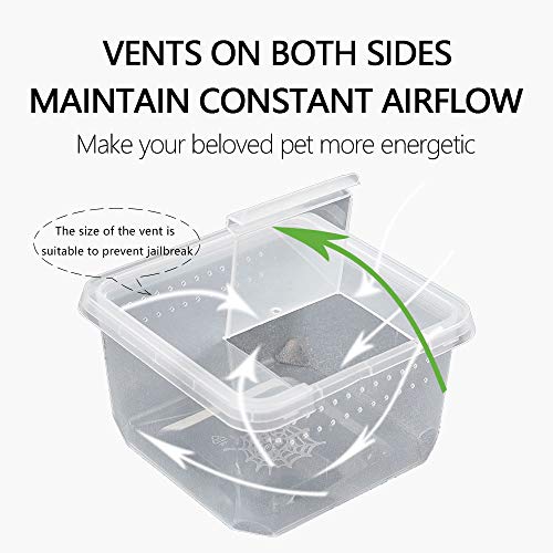 Critter Keeper，Mini Insect Carrier, Portable, Ventilated, Enough Viewing Space, with 5 Accessories, Suitable for Spiders, Geckos, Cockroaches, Snails, Hermit Crabs（Flowerpot）