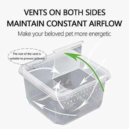 Critter Keeper，Mini Insect Carrier, Portable, Ventilated, Enough Viewing Space, with 5 Accessories, Suitable for Spiders, Geckos, Cockroaches, Snails, Hermit Crabs（Flowerpot）
