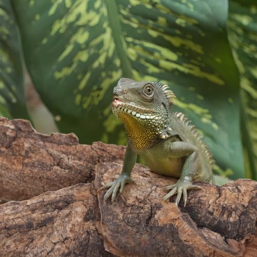 VANZACK 14Pcs Reptile Cork Bark Hideouts Lizard Climbing Bark Reptile Basking Platform Terrarium Decorations for Snakes Geckos Bearded Dragon Tank Accessories