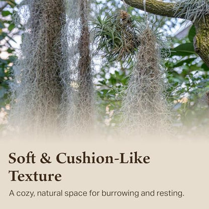 Spanish Moss for Terrarium Habitats, Medium 1-Pack | Preserved Moss for Reptiles, Amphibians & Invertebrates Terrariums, Humidity Control, Soft, Dye-Free, Family Owned, USA Made