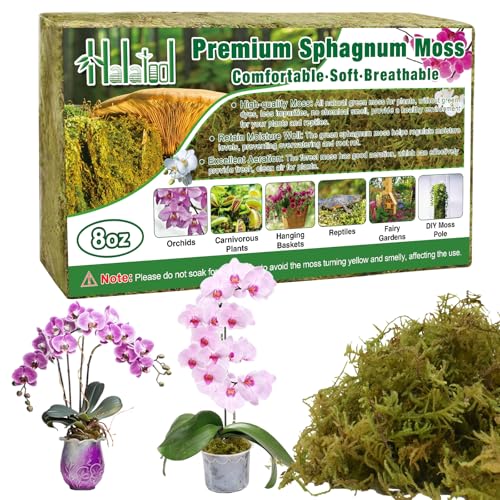 Halatool 8 OZ Natural Green Forest Moss, 12 QT Long Fiber Sphagnum Moss | No Dyes, Water Retention & Areation, Dried Orchid Moss for Potted Plants Indoor & Outdoor, Orchids Repotting, Terrariums - size: 8 oz