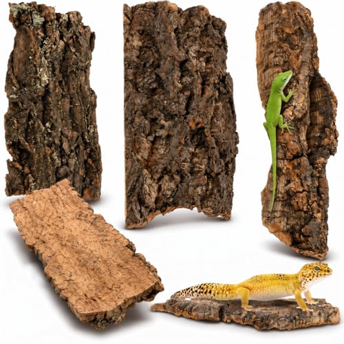 Ciieeo 4 Pcs Cork Bark for Reptiles, Natural Reptile Bark Hideout and Terrarium Wood Climbing Decor, Cork Bark Flats for Reptile Enclosure Background, Jumping Spider and Bearded Dragon Tank Decor