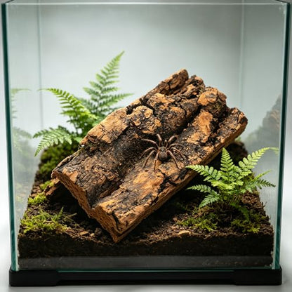NUOBESTY 8 Pack Cork Bark for Reptile Hides and Terrarium Decor | Natural 2 X 3.9 in Reptile Tree Bark Panels for Gecko Climbing, Custom Shelters, Plant Mounting and Bioactive Layouts