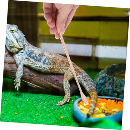 Toddmomy 2Pcs Reptile Feeding Spoon Durable Stainless Steel Spoons for Wet Food for Lizards Turtles and Small Animals Design Reusable and Easy to Clean