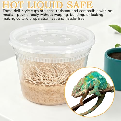 Deli Cups with Fabric Vented Lids 16 OZ, 10 Pack | Culture Cup Mesh Container, Bug Viewer Critter Insect Cage, Magnifying Insect Box