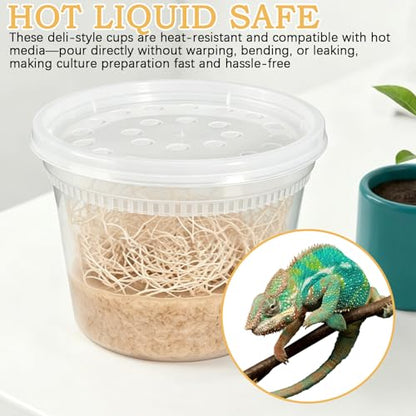 Deli Cups with Fabric Vented Lids 16 OZ, 10 Pack | Culture Cup Mesh Container, Bug Viewer Critter Insect Cage, Magnifying Insect Box