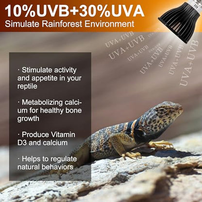 UVB Reptile Light Bulb 10.0, 5W LED High Intensity UV Replacement Lamp Bulbs for Desert Reptiles Bearded Dragons Lizard Tortoise Iguanas Chameleons Snake - 1 Pack - size: UVB 10.0