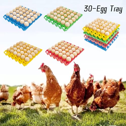 4-Pack Plastic Egg Tray Egg Crates, 30-Egg Flats, Stackable, Durable, Reusable, Green - size: 4-Pack Green
