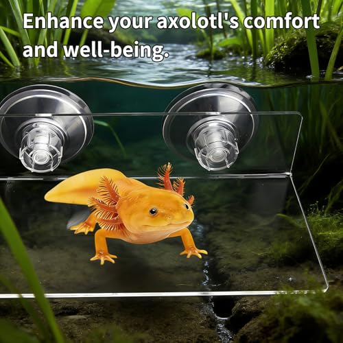 11.8 Inch Axolotl Hammock Ledge with Ceramic Dish and 3 Suction Cups | Secure Wall Mounting Creates a Comfortable Elevated Spot for Resting, Climbing and Feeding in Smooth-Sided Tanks