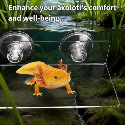 11.8 Inch Axolotl Hammock Ledge with Ceramic Dish and 3 Suction Cups | Secure Wall Mounting Creates a Comfortable Elevated Spot for Resting, Climbing and Feeding in Smooth-Sided Tanks