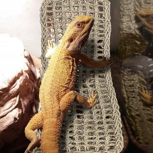 2 Pieces Bearded Dragon Hammock Large, 30" x 7" Reptile Hammock | Lizard Hammock, Climbing Habitat Tank Accessories, Reptile Bridge, For Chameleon Hermit Gecko Snakes - style: 2Pcs Rectangle