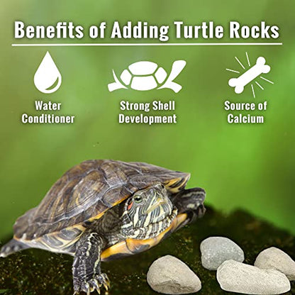 JOR Calcium Rocks for Turtles, Ideal for Shrimps, Crayfish, Hermit Crabs, and Snails, Water Conditioner for 14-Gallon Tank, Aquarium Décor, Approximately 0.5", 3-6 Pieces, 2 oz.