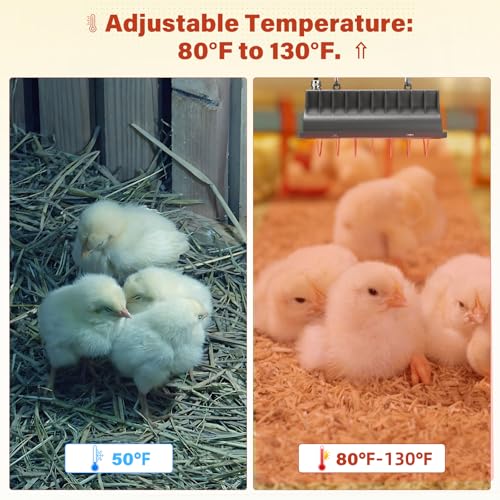 Chicken Coop Heat Lamp for Dog Kennel, Cat Bed, Reptiles & Incubators - 250W Adjustable Heat Lamp with 2 Heat Settings for Poultry, Livestock, and Pets