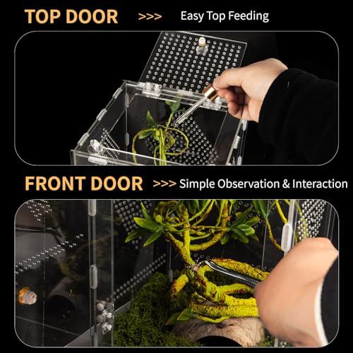 Acrylic Reptile Terrarium Easy Assembly, 360° Clear & Keep Pet Secure Design for Jumping Spiders, Tarantulas, Geckos Scratch-Resistant Large Ventilated Habitat Terrarium for Arachnids 11.8*7.9*7.9in - size: Large-11.8*7.9*7.9in