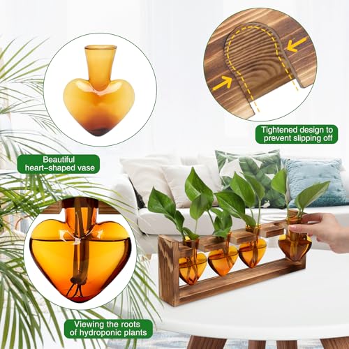 Plant Propagation Stations Heart Plant Terrarium Kit | Gift for Women Plant Lover Glass Vases - color: Amber