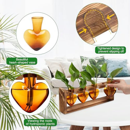 Plant Propagation Stations Heart Plant Terrarium Kit | Gift for Women Plant Lover Glass Vases - color: Amber