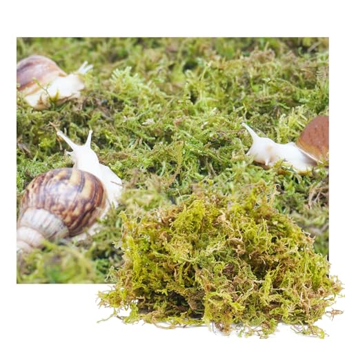 4oz Moss Substrate for Pet Snails, Terrarium Substrate Supplies for Maintaining Humidity in Snail Tanks and Habitats