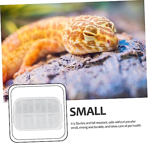 BESPORTBLE 1pack Reptile Breeding Box for Hatching Lizard Eggs Lightweight and Incubator for Geckos Snakes and Reptiles Easy to Use and Store