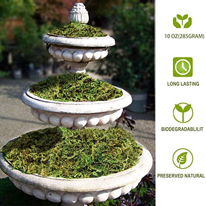 10OZ Fake Moss Artificial Moss for Potted Plants Greenery MossHome Decor Fairy Garden Crafts Wedding Decoration (Fresh Green)