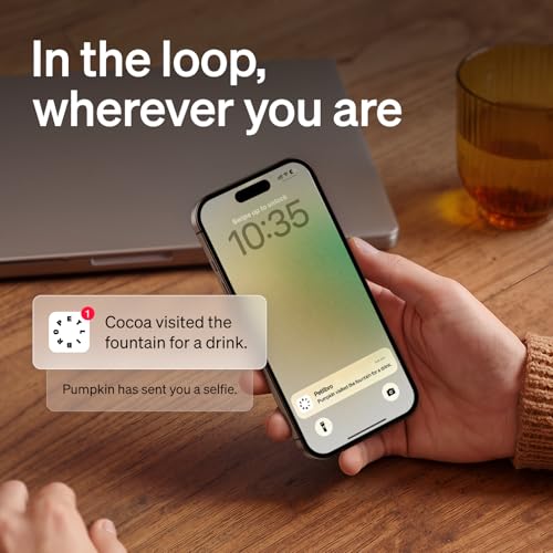 PETLIBRO Cat & Dog Camera with Multi-Pet Recognition, Individual Timelines, Activity Tracking, Smart Summaries, Indoor AI Pet Camera - color: Black, size: with 7-Day AI Trial