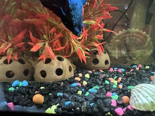 Ceramic Shelters, 4 pcs, Fish Tank Accessories Cave Décor, Small Fish House, Aquarium Hideout, Swim Holes Aquatic, Aquarium Cave for Freshwater and Saltwater Fish Tank (hemispherical)