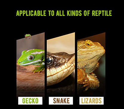 DOHO Reptile Breeding Box Reptile Egg Incubator Hatchery Box Suitable for Hatching Gecko Lizards Lions Mane