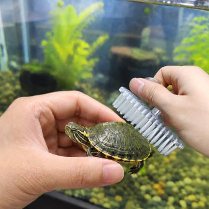 Turtle Brush with Suction Cup, Screw The Upgraded Turtle Scrub Brush Tightly on The Glass, It is Not Easy to Fall Off and Slide, Helping The Turtle Remove Dirt on The Back and Abdomen.