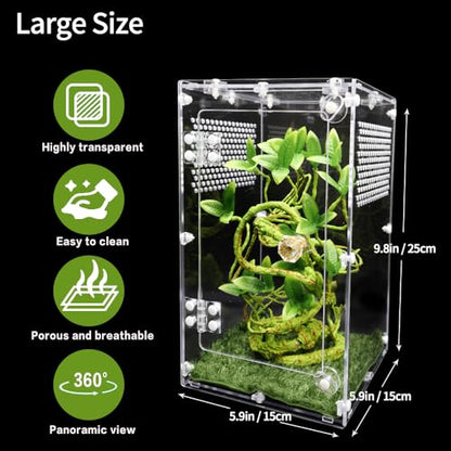 Jumping Spider Enclosure 6x6x10 Inch, Front Opening Tarantula Enclosure | for Spiders Tarantulas & Insects, Reptile Terrarium
