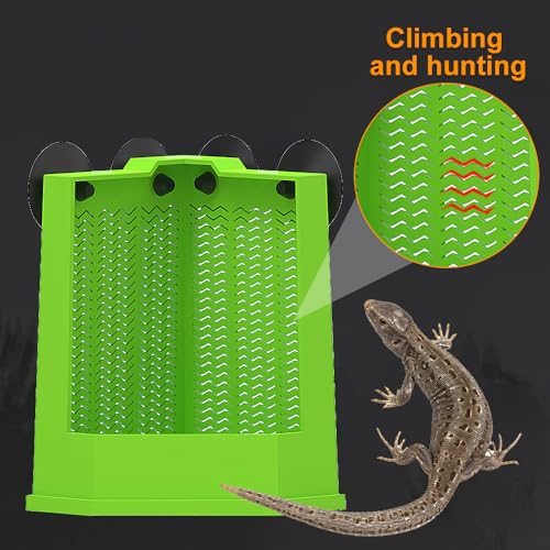 Bearded Dragon Feeder, Escapeproof Corner Reptile Feeder Box with Suction Cups for Lizard, Lguana, Gecko, Bearded Dragon - size: M