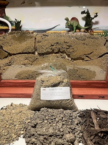 Premium Ant Farm and Terrarium Soil Mixture (Sand, Topsoil, Peat) 1 Pound Bag