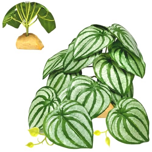 Woyrise Reptile Plants for Terrarium Decor, Ball Python Tank Accessories fit Bearded Dragon Crested Leopard Gecko Lizard Chameleon Snake Frog Tortoise Hermit Crab - Fake Calathea Orbifolia - color: D-fake Calathea Orbifolia